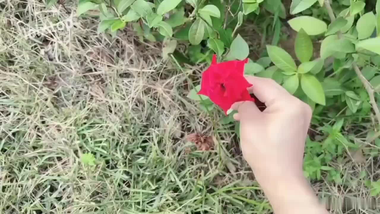粉色情人户外露出勾引哥哥骑乘做爱 第二部
