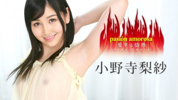 Caribbeancom-030317-385 激情爱恋～爱情激情5～