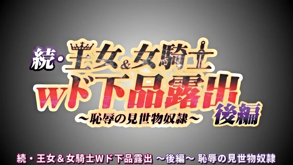 【王女与女骑士】续作 后篇 上