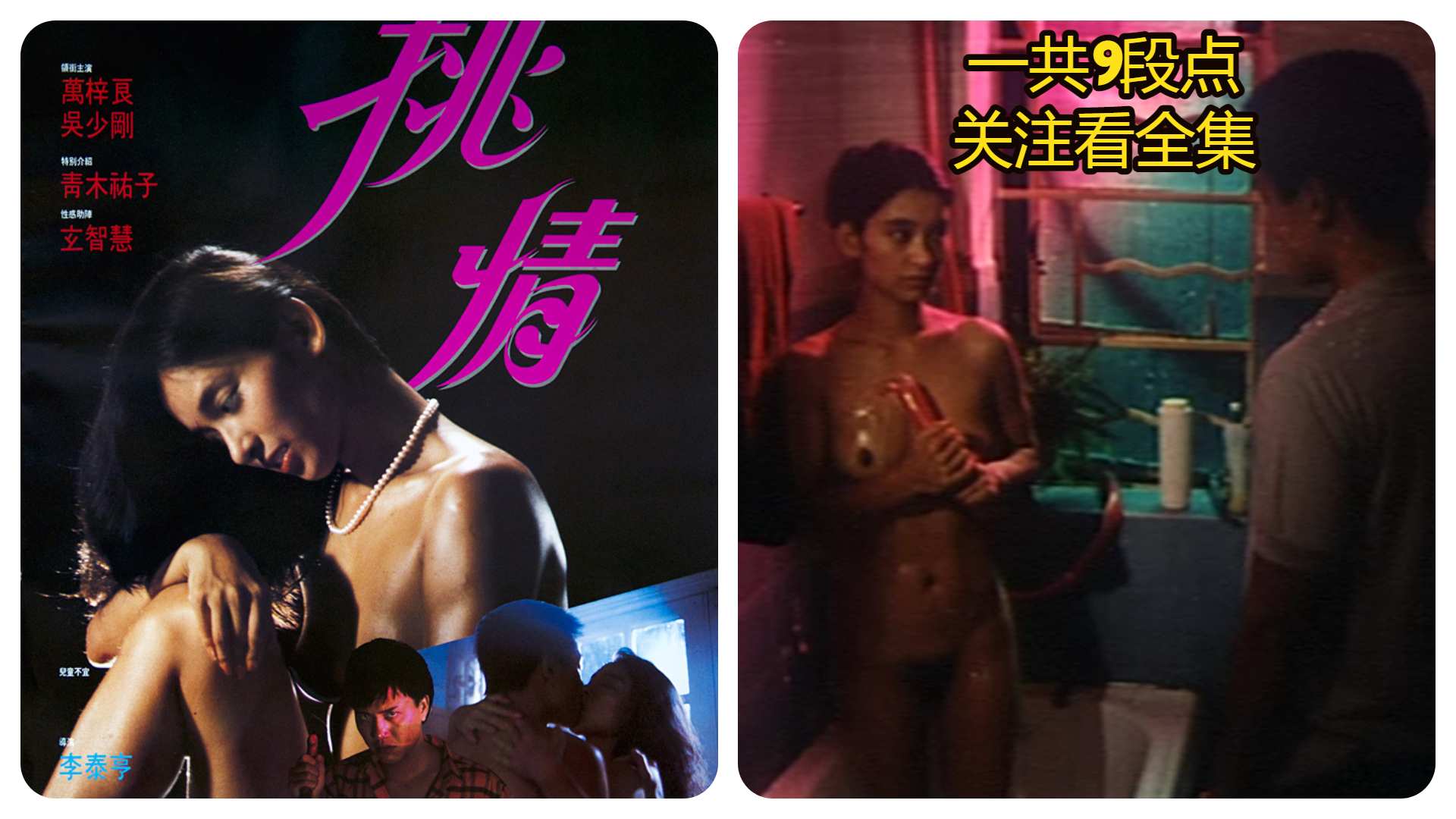 ⑥《香港三级》挑情:万梓良丶吴少刚丶青木佑子丶玄智慧