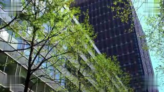 糖心Vlog 极品反差女上司特殊技巧 黑丝长腿足交挑逗