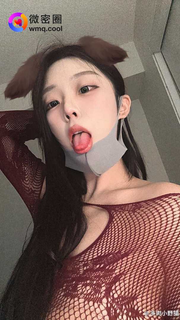 你的特长，我很喜欢。 多肉小野猫