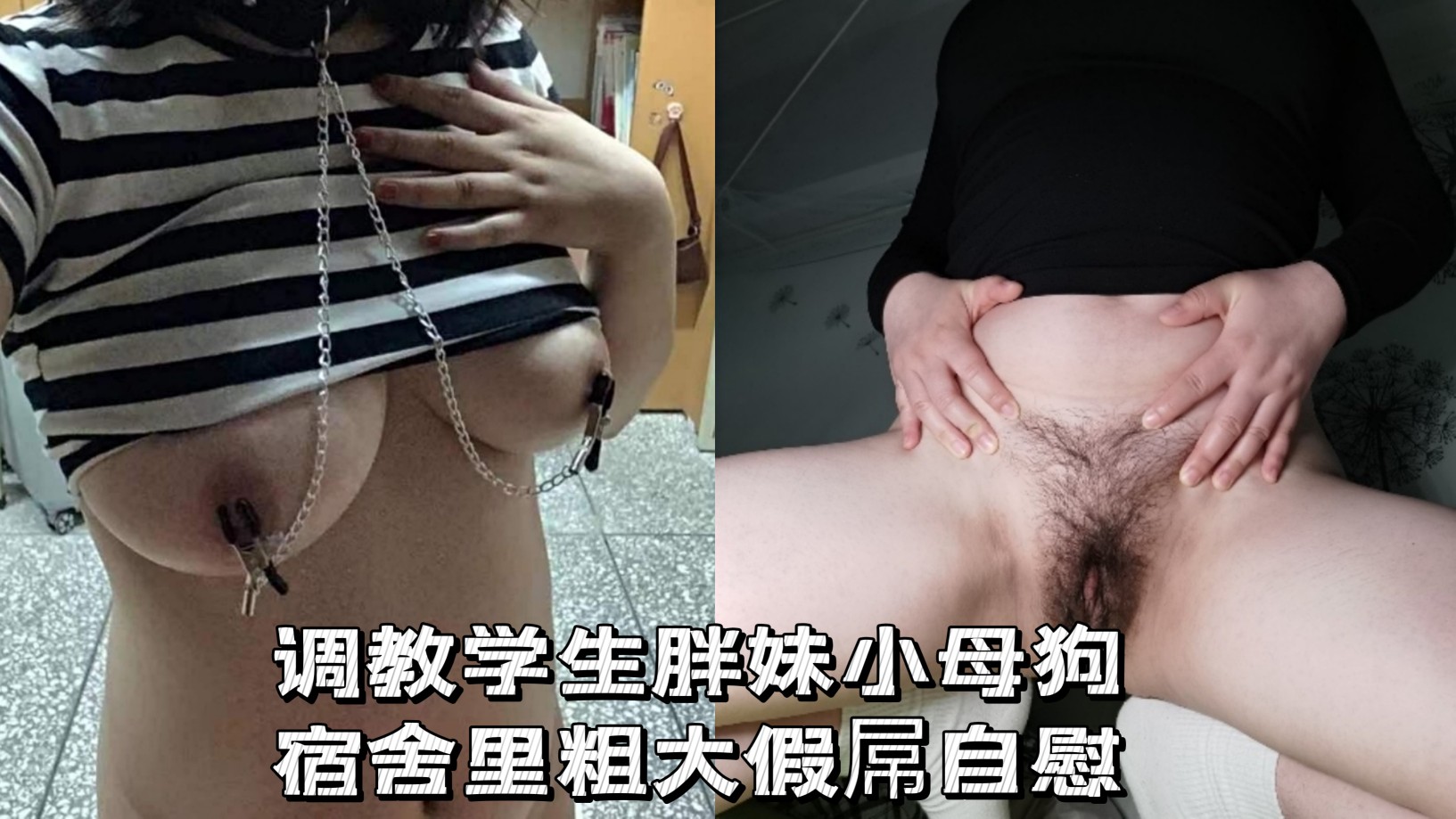 调教学生胖妹宿舍用假鸡巴插逼 室友还在聊天 不敢叫！
