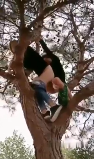 精神小伙在树上干炮你是鸟人吗9