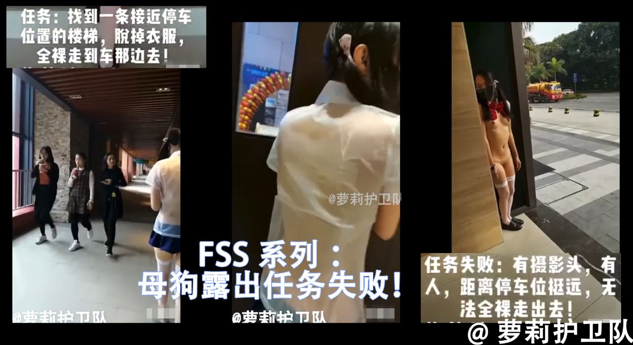 FSS系列-今天露出任务失败了，要怎么惩罚小狗狗呢？