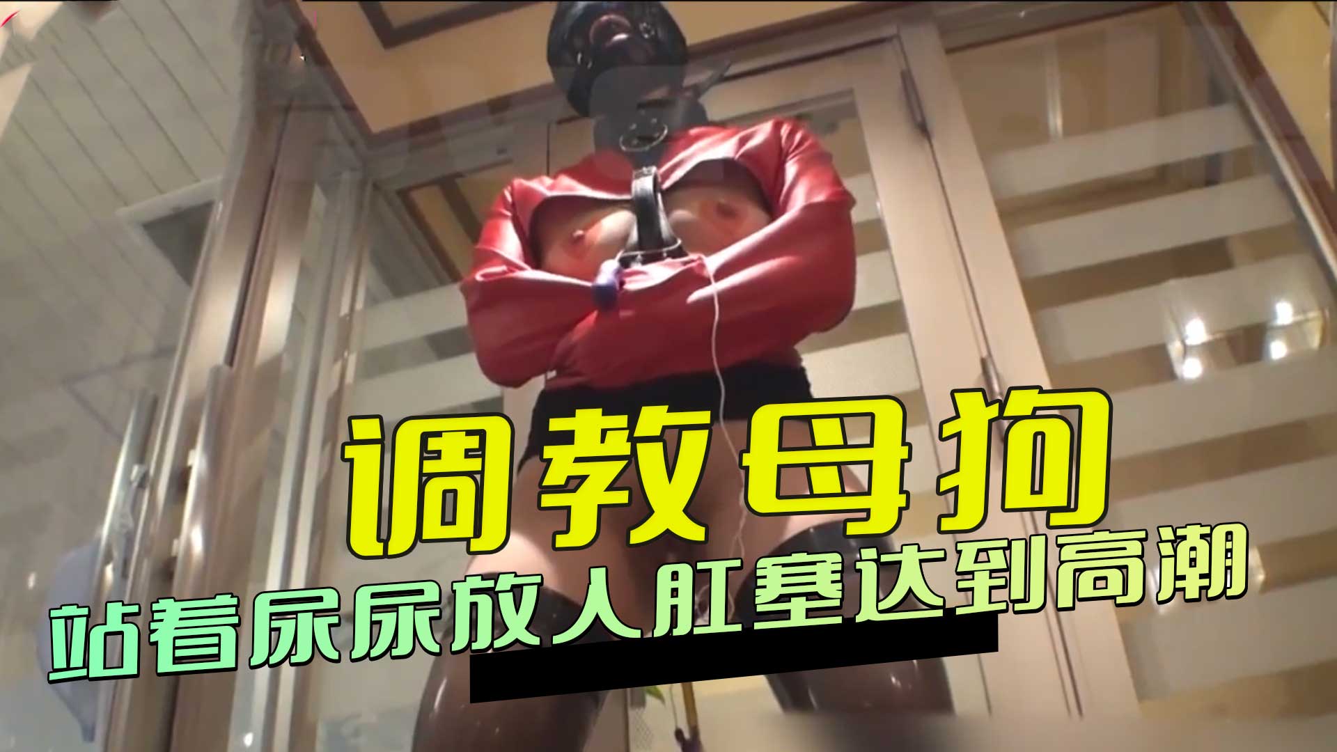调教母狗 站着尿尿放入肛塞达到高潮 放纵欲望臣服于肉体的愉悦 快感席卷全身