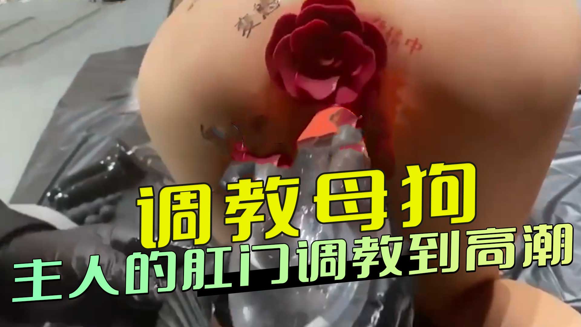 调教母狗 主人最爱玩弄肛门 淫荡母狗菊花开到喷白浆