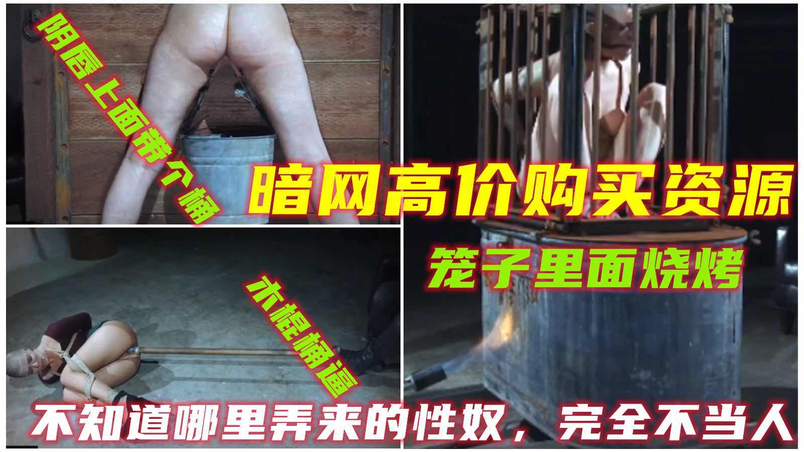 暗网高价买来的性奴被当作奴隶虐待训练 完全不当人看待