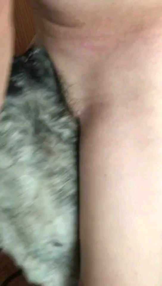 天天勾引的鸡巴硬邦邦