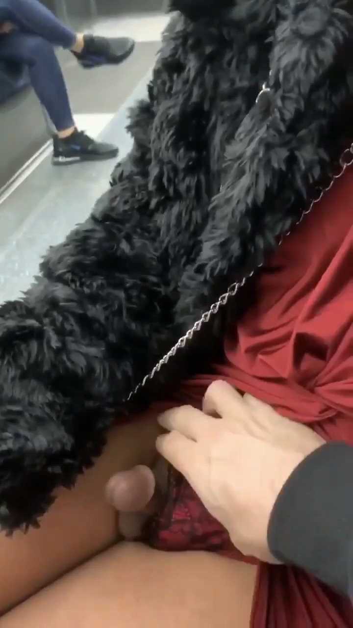 地铁上成功勾搭一个美丽人妖