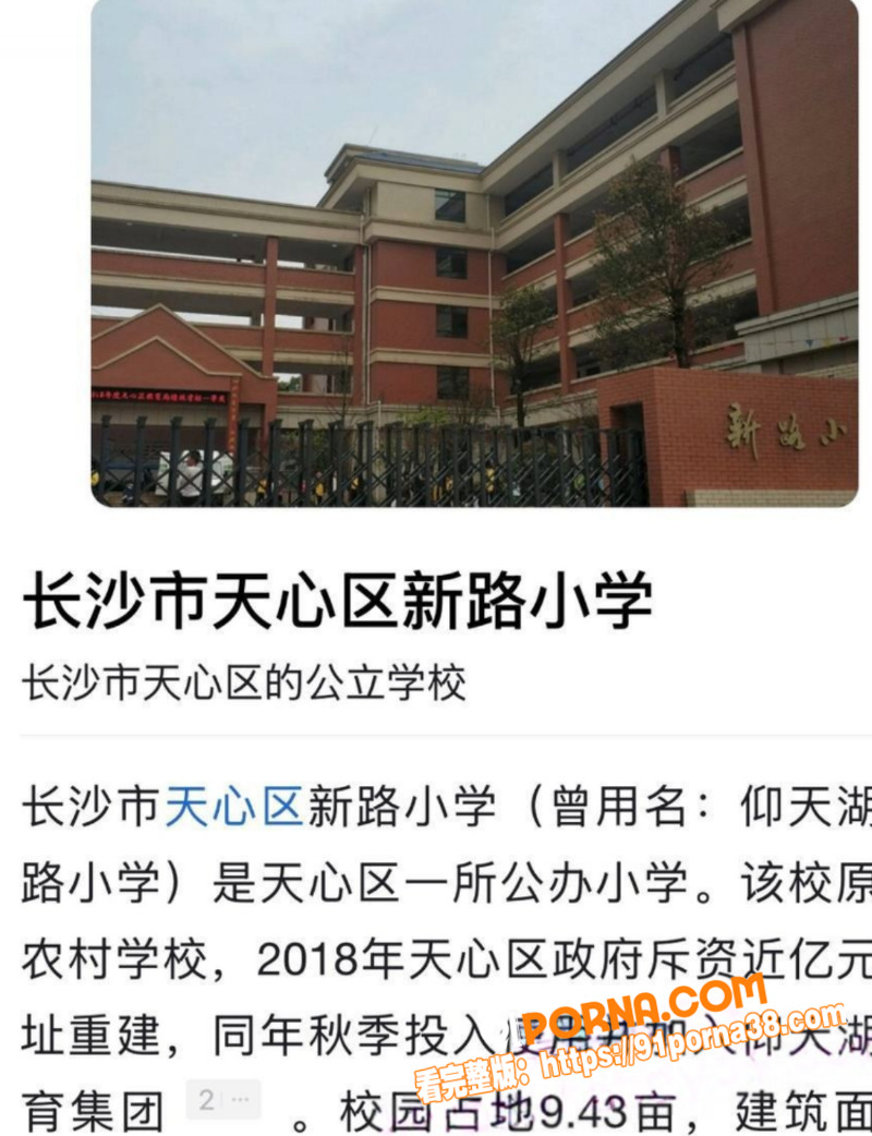 图14